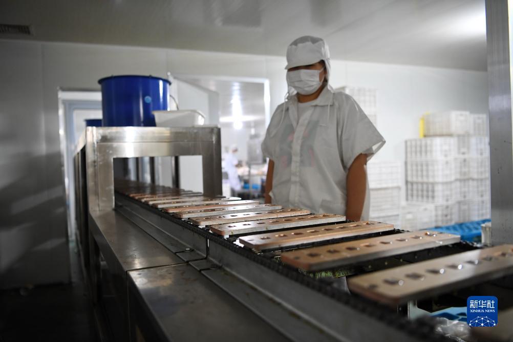 金沙游戏网站有哪些